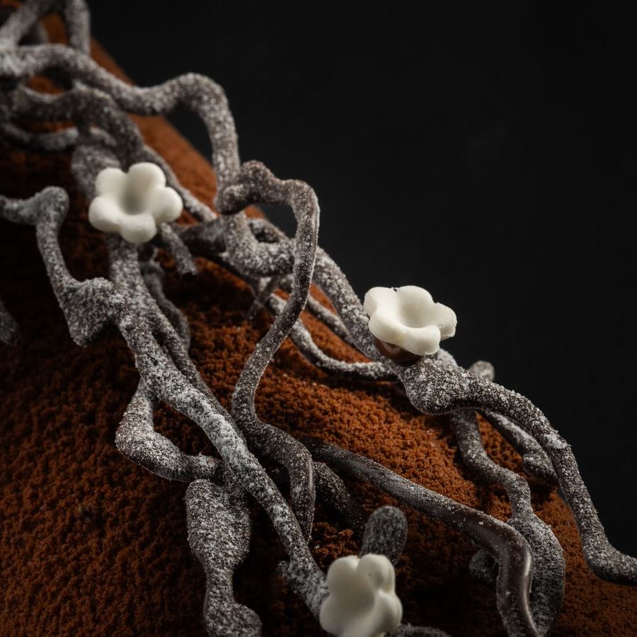 A sculptural chocolate dessert with delicate silver-grey branches against a dark background